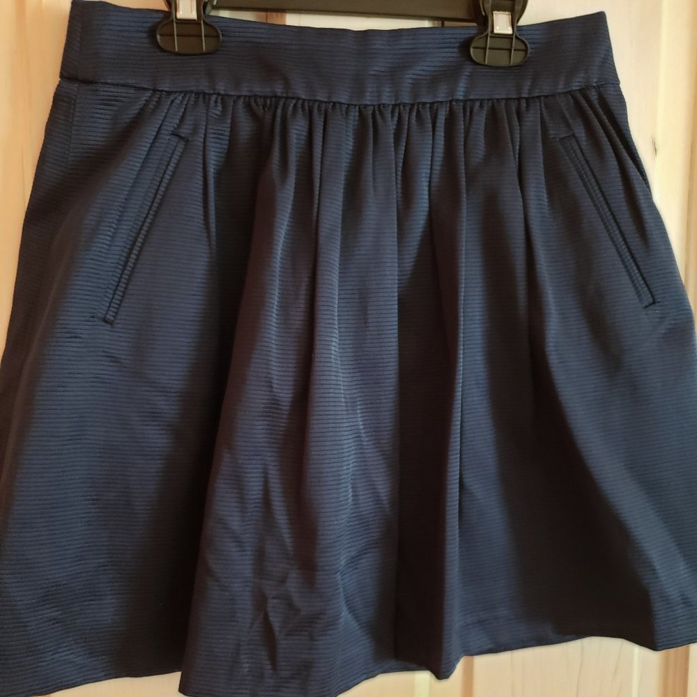 Banana Republic Blue Pleaded Skirt, Size 4